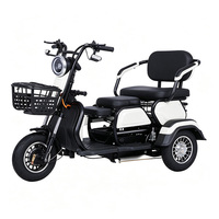 Vélo électrique à trois roues pour adultes, tricycle électrique avec panier, tricycle électrique pour personnes âgées, tricycle électrique de transport pour adultes