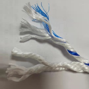 1.5mm 8mm xây dựng dây xe tải twine quần áo dòng Polypropylene PE dây - Product Image 3