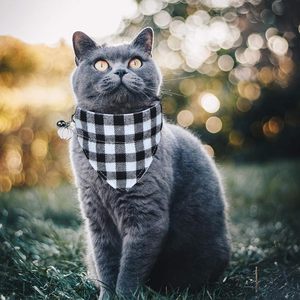 Vakantie Halloween Thanksgiving Rode Groene Kerst Plaid Sneeuwvlok Kat Met Verwijderbare Bandana Sjaal Kraag Voor Kittens Katten - Product Image 6