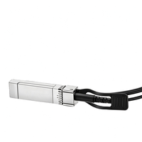 Kabel Optik Aktif 25G SFP28 AOC 1M 3M 5M 10M untuk Server Switch Pusat Data