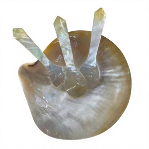 Cuillère décorative en nacre et cuillère en coquillage pour une utilisation gastronomique par 99 Gold Data Trusted Vietnam Exportateur - Product Image 1