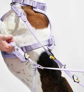 Correa de PVC impermeable de cuerda de perro mascota personalizada de alta calidad de lujo con dijes de bricolaje - Product Image 5