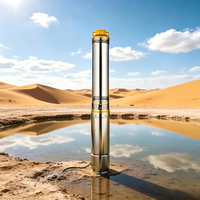 Pompe solaire submersible 7,5 CV 4 pouces en acier inoxydable 304 pour puits profond, hauteur de refoulement 100 m, haute pression, contrôle entièrement automatique pour systèmes hors réseau