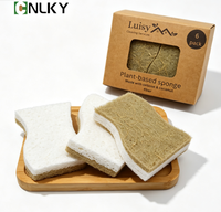 Éponge de cuisine rectangulaire à base de plantes, en fibre de coco naturelle, en cellulose, biodégradable, légère, durable, double face