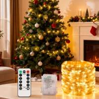 Guirlande LED à pixels vintage pour Noël, étanche IP44, 100 LED, dimmable, pour décoration extérieure, jardin, fête, rideau lumineux