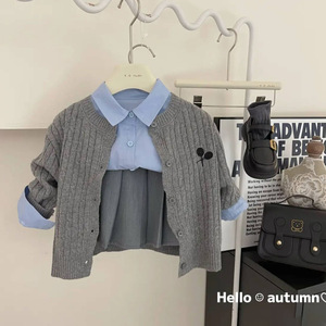 Girls Pleated Skirt Gray Cotton Solid Color Autumn School Style Casual Wear - Product Image 3