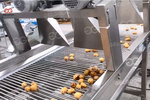 Taro Yam Beetroot Brush Peeling Washing Slicing Machine Root Vegetable Washer Peeler Sale Washer For Potato And Vegetable - Product Image 2