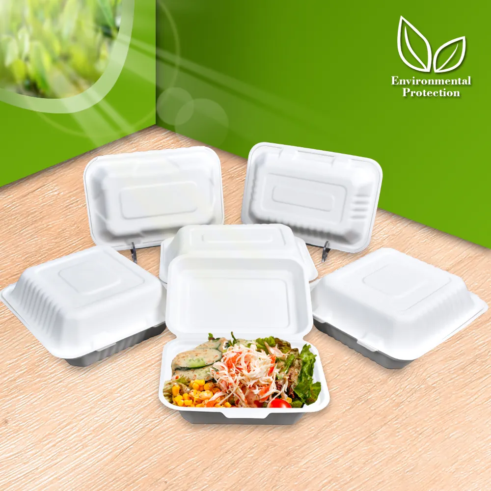 Sunzza özel restoran tek kullanımlık biyobozunur kağıt salata meyve öğle yemeği fast gıda paketleme kabı ile istiridye olacak kapak