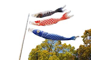 Nouveau 2023, Livraison Rapide, Haute Qualité, Conception Personnalisée, Imprimé Numérique, Polyester 100D, Publicité Extérieure pour la Journée des Garçons, Motif Poisson Japonais - Product Image 5