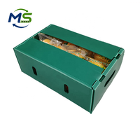 Boîte en carton alvéolaire recyclable en PP industriel pour fruits, légumes, œufs, viande, conforme aux normes FDA, emballage alimentaire conforme aux normes UE FCM