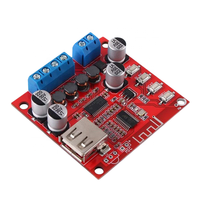 Carte d'amplificateur de puissance CKXIC TPA3110, module audio double canal 12V de haute qualité