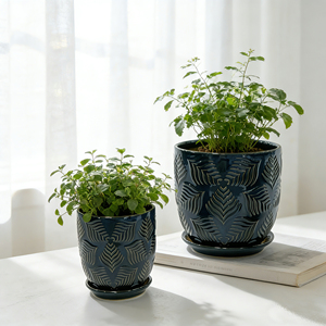 Macetas de Cerámica para Plantas Suculentas Pequeñas, Venta al Por Mayor de Fábrica - Product Image 4