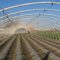 Serre polytunnel commerciale de petite taille en gros, utilisée pour l'agriculture