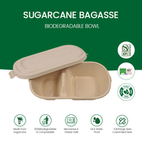 Coperchio Rettangolare in Bagassa Biodegradabile Eco-friendly dal Design Moderno, Resistente al Calore, Adatto al Microonde, Robusto e Monouso per Alimenti