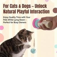 Jouet interactif pour chat à commande par bouton, lanceur de teaser éjectable et rétractable automatiquement, vente chaude 2026, pour chats d'intérieur (vente en gros)