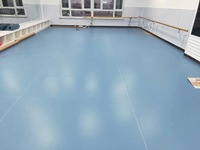 PVC-Teppich rolle Laminat-Kunststoff boden für Tanz-Linoleum-Boden rollen
