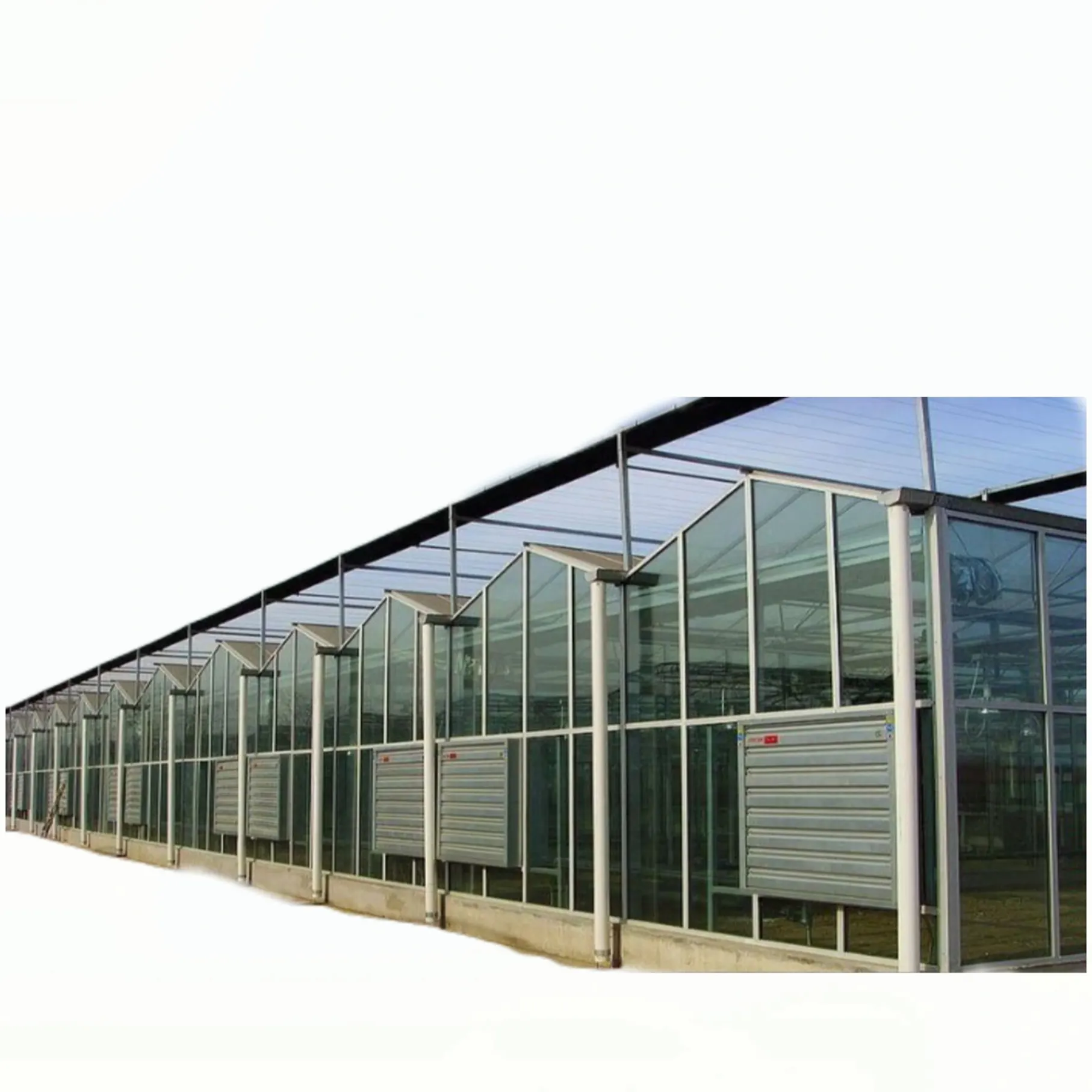 Serre d'ombre agricole en verre Venlo pour plantes/légumes/fleurs