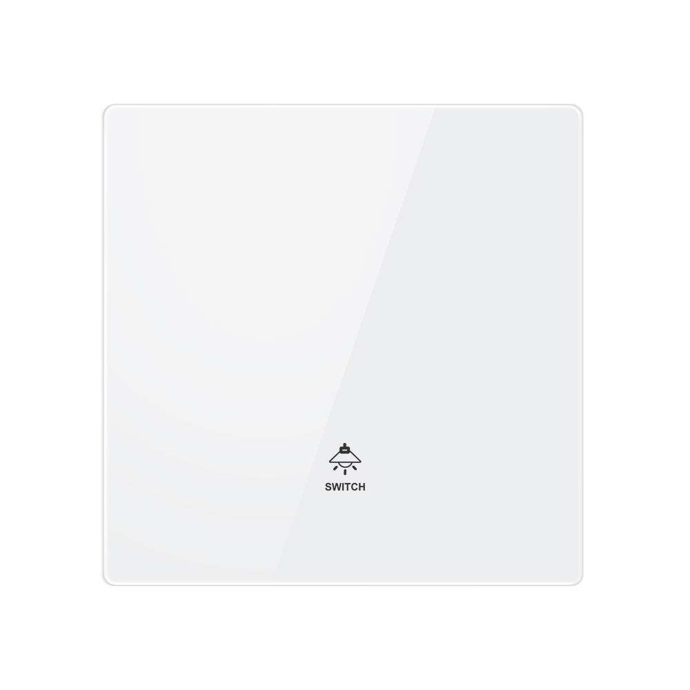 สวิตช์1ทาง1แก๊ง