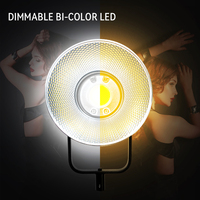 2023 nouveau kit de fabrication vidéo 200w projecteur cob led lumière de studio avec 10 effets de lumière du jour abs caméra intérieure accessoires photo