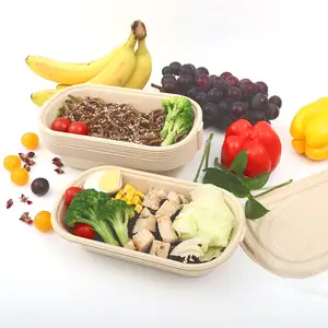 Custom Biodegradable Food Bamboo Pulp Cornstrach Disposable Paper Take Away Lunch Box With Lid