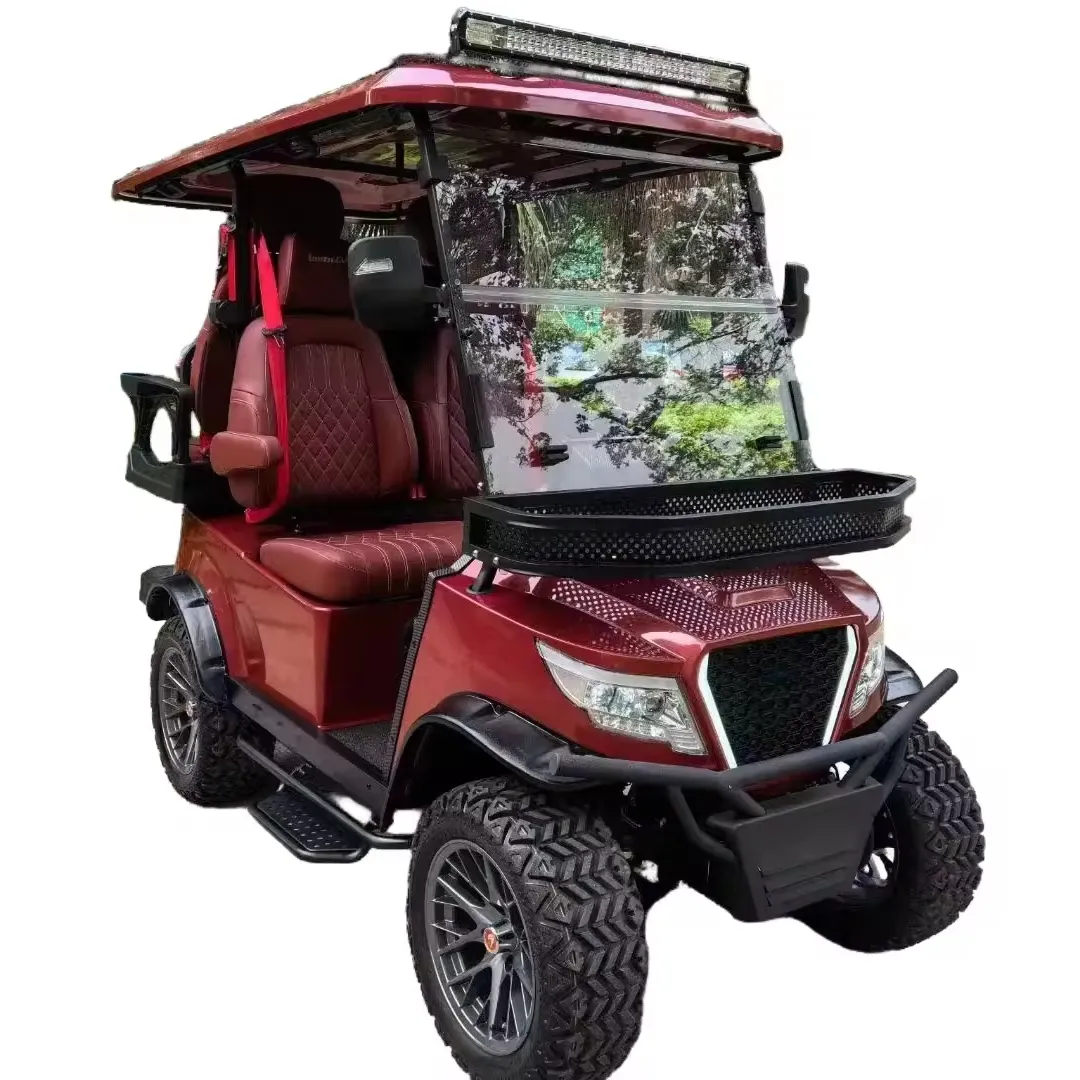Electric Golf Cart 2seats 48v Lifted Style With Cargo Box