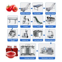 Machine industrielle de fabrication de pâte de tomate OCEAN Ketchup Machine de fabrication de sachets de tomates à petite échelle