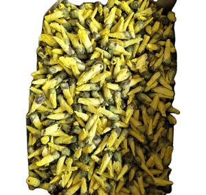 1กิโลกรัมสีเหลืองทองขายส่งใหม่แห้งพระอาทิตย์ตกดอกชบาสำหรับชา - Product Image 1