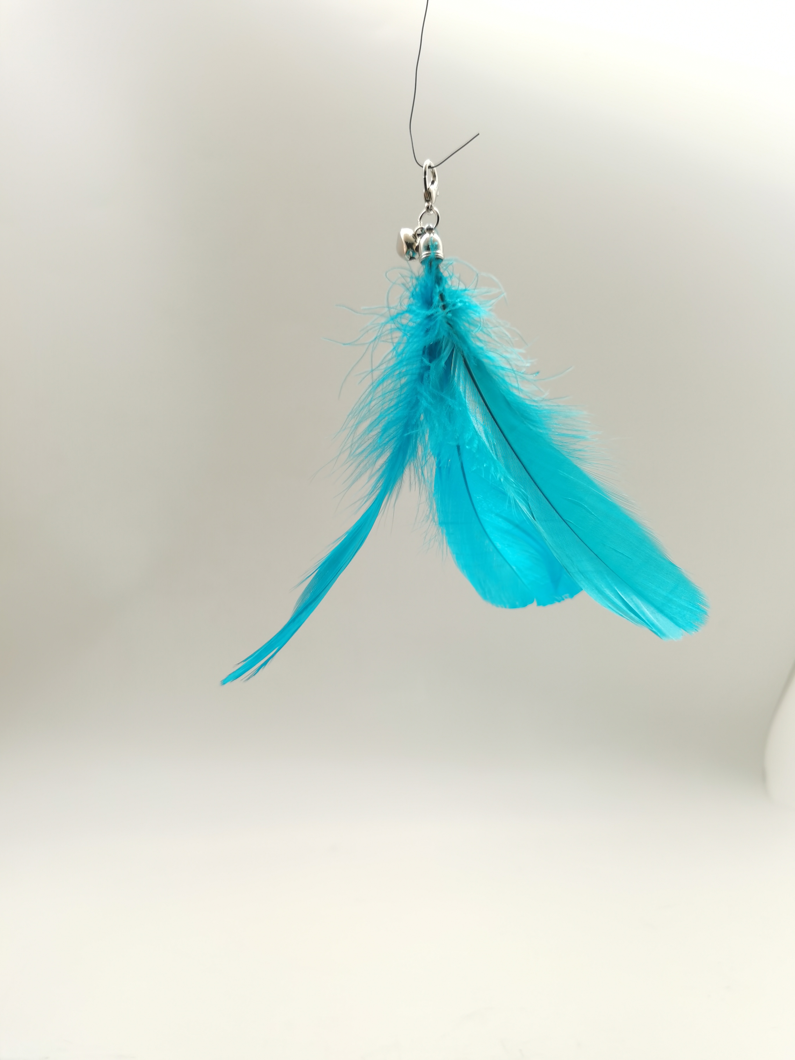 Blue feather