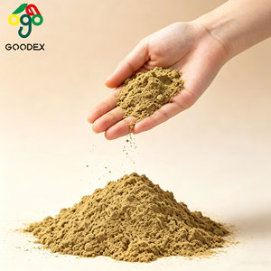 Polvo de Hongo Porcini <span class=keywords><strong>Boletus</strong></span> 80 Mesh - Extracto Fino Seco para Alimentos Saludables y Uso Culinario - Suministro al por Mayor - Product Image 6