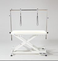 Table de toilettage électrique en acier inoxydable avec télécommande, éclairage, prise de table, interrupteur de protection contre les fuites, conception à crochet, facile à utiliser YM-D001LP