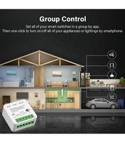 Smartdust Tuya 16A MINI WiFi Commutateur pour Smart Life Travail Alexa Google Home Alice-2-way Télécommande Minuterie Relais DIY ODM