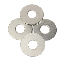 304 Stainless Steel DIN 9021 Large Plain Washer