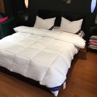Couette d'hiver épaisse de 8 kg en alternative au duvet, qualité hôtelière, en soie-coton, pour la Chine, livraison directe, idéale pour les maisons d'hôtes printemps-automne