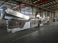 FLD- Flower Fruit Chip Sugar Production Line
