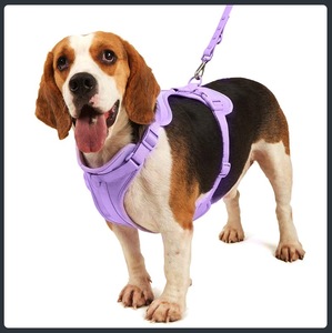 Listo para enviar MOQ bajo Moda Impermeable Bbiothane PVC Recubierto Mascota Perro Arnés <span class=keywords><strong>Collar</strong></span> Correa Conjunto - Product Image 6