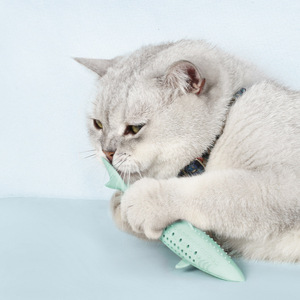 Juguete para mascotas de perro pequeño, rechinar los dientes, enfriar, morder pegamento, hacer sonido, fruta congelada, perro nuevo de verano - Product Image 3