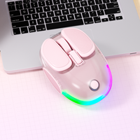Souris sans fil magnétique silencieuse portable LED transparente BT 2,4 GHz USB pour ordinateur portable, tablette, PC, ordinateur portable avec batterie