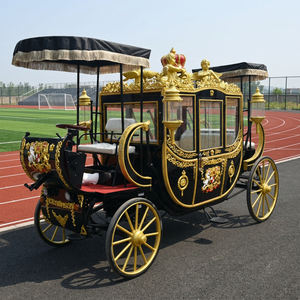 Calèche royale électrique, calèche de tourisme royale, calèche de mariage, produits de calèches élégantes de haute qualité, véhicule spécial - Product Image 1