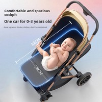 Poussette bébé pliable légère pour enfant de 0 à 3 ans, matériau Oxford, capacité de charge de 20 kg