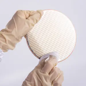 1009SLE Dust Free Class 10 Cleanroom Cleaning Wipes SuppliesためSemiconductor Wafer Fab Labs