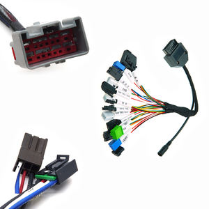 Cables de Arnés de Cableado Eléctrico Automotriz Personalizados a Prueba de Agua para <span class=keywords><strong>Wv</strong></span> <span class=keywords><strong>Polo</strong></span> - Product Image 6