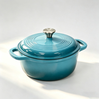 Marmite en fonte émaillée 26 cm, pot à ragoût fileté, casserole à double poignée, faitout antiadhésif, compatible tous feux