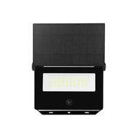 Lampe solaire de jardin télécommandée avec panneau inclinable, activée par détecteur de mouvement, pour éclairage extérieur de chemins et cours