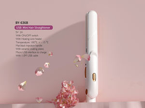 Mini lisseur et <span class=keywords><strong>fer</strong></span> <span class=keywords><strong>à</strong></span> friser portable pour cheveux LED, 12 pièces, kit d'outils de beauté pour chevelure, <span class=keywords><strong>bon</strong></span> prix - Product Image 4