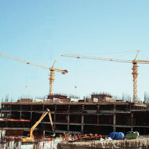 เครนทาวเวอร์แบบอยู่กับที่ TC6013 ประสิทธิภาพสูง 6 ตัน 8 ตัน ราคาโรงงาน - Product Image 6