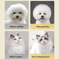 Nouvel Arrivage Brosse de Toilettage pour Animaux Écologique, Sûre, Douce et Moelleuse en Acier Inoxydable, Outil de Nettoyage Simple pour l'Épilation des Animaux