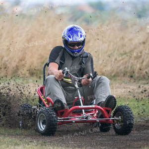 <span class=keywords><strong>Junior</strong></span> Outdoor for Fun 196CC 45 KM/H Accélérateur Accélérer Go Karts Safety Drive Essence Karting <span class=keywords><strong>Buggy</strong></span> - Product Image 6