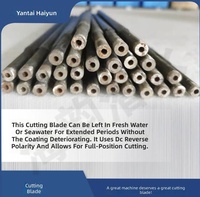 Torche de découpe sous-marine Haiyun TS304 de haute qualité pour équipement de plongée, tige de coupe en cuivre et acier inoxydable, directement de l'usine chinoise