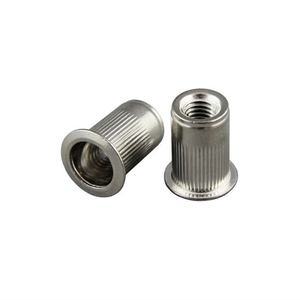 304 thép không gỉ đinh tán hạt đinh tán hạt phẳng đầu dọc đinh tán Nut M8 <span class=keywords><strong>M12</strong></span> M14 - Product Image 3