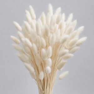 Bouquet de fleurs séchées naturelles de <span class=keywords><strong>Lagurus</strong></span> Ovatus (Queue de Lapin) pour décoration bohème, mariage, arrangement de vase – Vente en gros - Product Image 3
